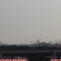 09_10-mast.jpg