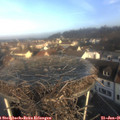 09_10-nest.jpg