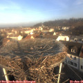 09_15-nest.jpg