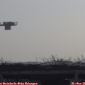 09_20-mast.jpg