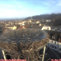 09_25-nest.jpg