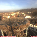 09_30-nest.jpg