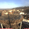 09_40-nest.jpg