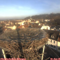 09_45-nest.jpg