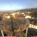 09_50-nest.jpg
