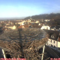 09_55-nest.jpg