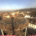 10_00-nest.jpg