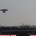 10_05-mast.jpg