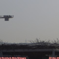 10_10-mast.jpg