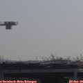 10_15-mast.jpg