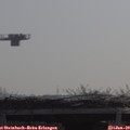 10_20-mast.jpg