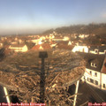 10_20-nest.jpg