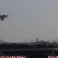 10_25-mast.jpg