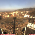 10_25-nest.jpg