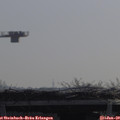 10_30-mast.jpg