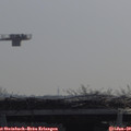 10_35-mast.jpg