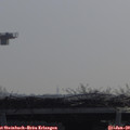 10_40-mast.jpg