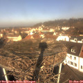10_55-nest.jpg