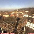 11_00-nest.jpg