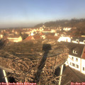 11_05-nest.jpg