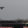 11_35-mast.jpg