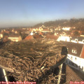 12_15-nest.jpg