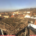 12_25-nest.jpg