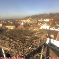 12_30-nest.jpg