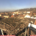 12_35-nest.jpg