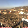 12_40-nest.jpg