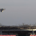 12_45-mast.jpg