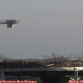 12_55-mast.jpg