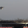 13_00-mast.jpg