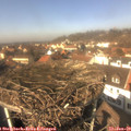 13_05-nest.jpg