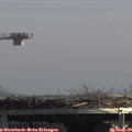 13_10-mast.jpg