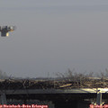 13_15-mast.jpg