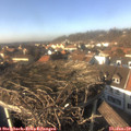 14_30-nest.jpg