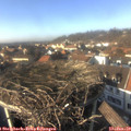 14_40-nest.jpg