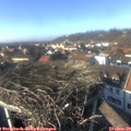 14_45-nest.jpg