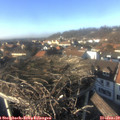 14_50-nest.jpg