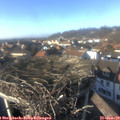 14_55-nest.jpg