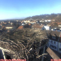 15_00-nest.jpg