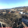 15_10-nest.jpg