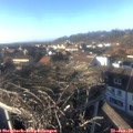 15_20-nest.jpg