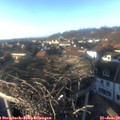 15_45-nest.jpg