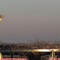 15_55-mast.jpg