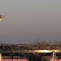 16_10-mast.jpg
