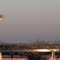 16_15-mast.jpg