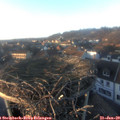 16_20-nest.jpg