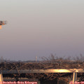 16_25-mast.jpg